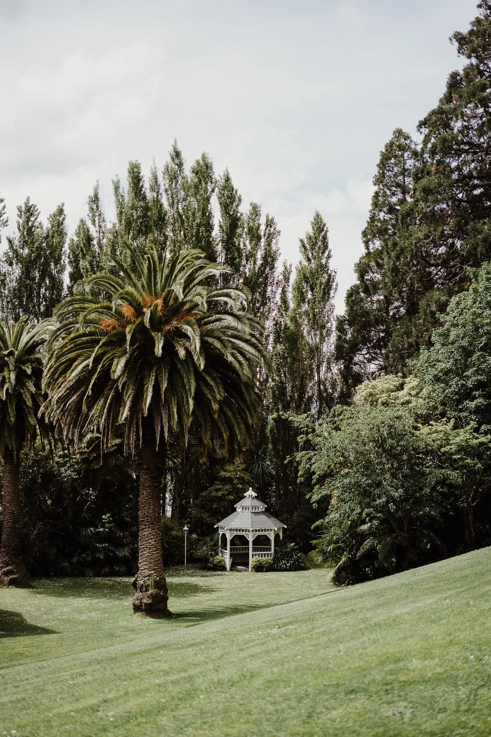 Wallaceville House
