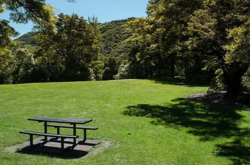 Sunny lawn and trees at Harcourt Park, Upper Hutt