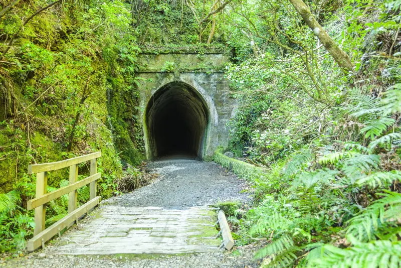 Stone tunnel portal on the Remutaka Rail Trail surrounded by ferns