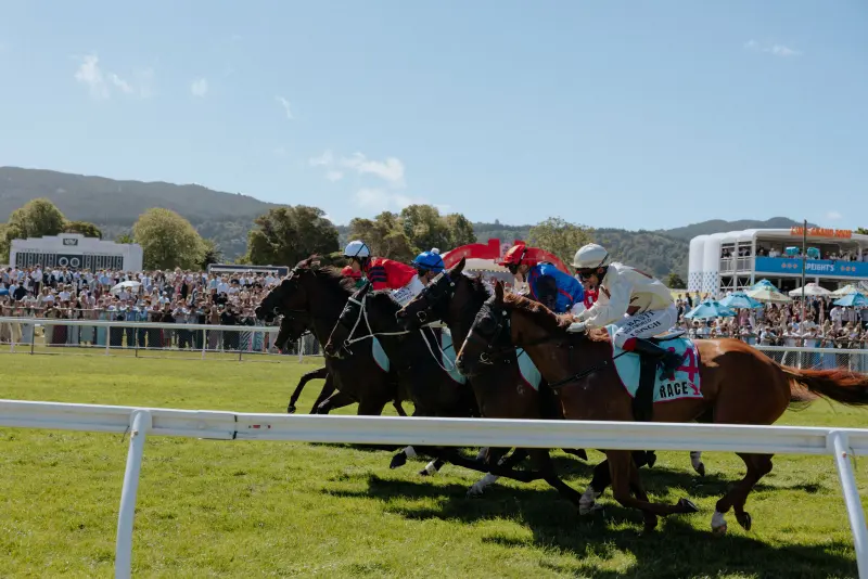 Horses racing down the straight at Trentham Racecourse on Wellington Cup Day