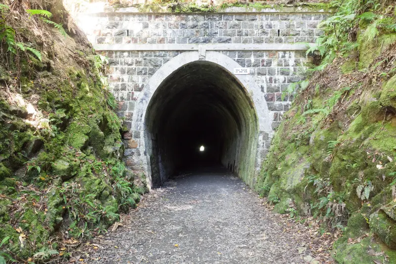 Mossy brick portal of the Mangaroa Tunnel at Tunnel Gully